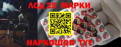 прущие грибы Славгород