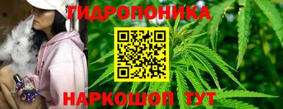 прущие грибы Славгород